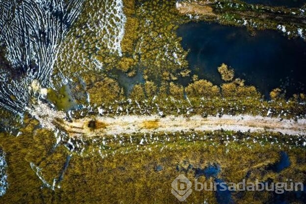 Kaz Gölü'nde tablo gibi manzara
