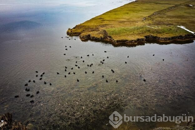 Kaz Gölü'nde tablo gibi manzara
