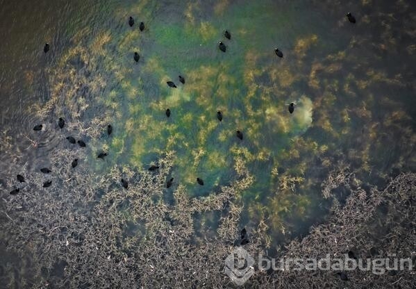 Kaz Gölü'nde tablo gibi manzara
