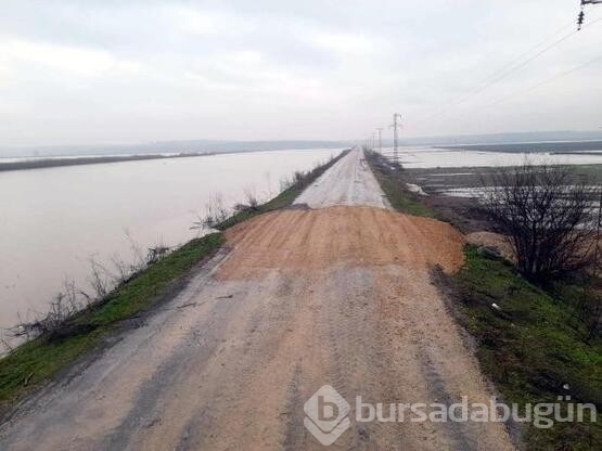 'Turuncu alarm' verilen Ergene Nehri, Uzunköprü'de taşkına neden oldu

