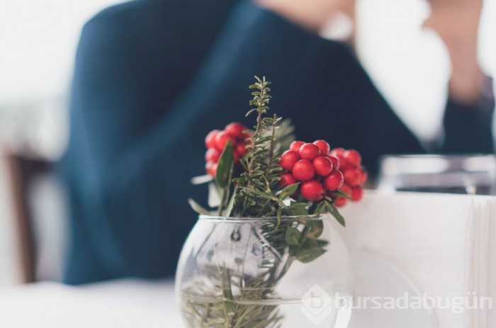 Kokina çiçeği hikayesi nedir? Bakımı nasıl yapılır?