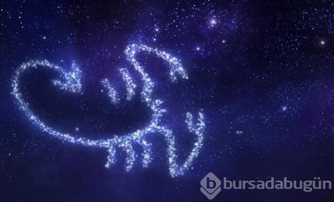 Akrep burcunu 2022 yılında neler bekliyor?