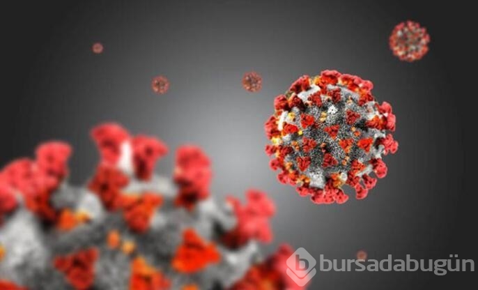 Dünya Sağlık Örgütü Kovid'in tarihçesini paylaştı!

