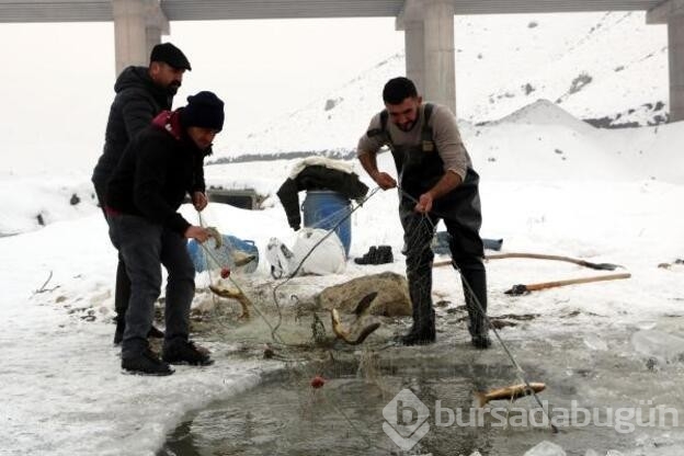 Donan derede Eskimo usulü balık avı