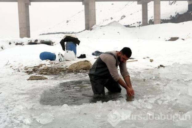 Donan derede Eskimo usulü balık avı