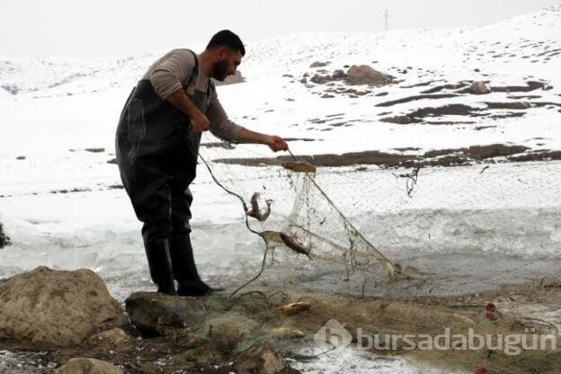 Donan derede Eskimo usulü balık avı