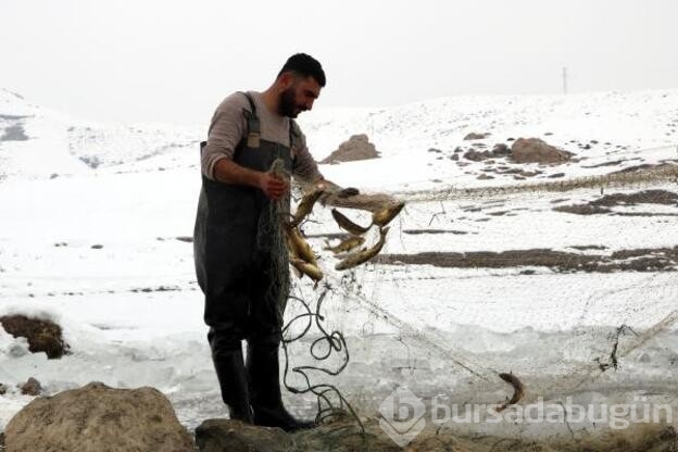 Donan derede Eskimo usulü balık avı