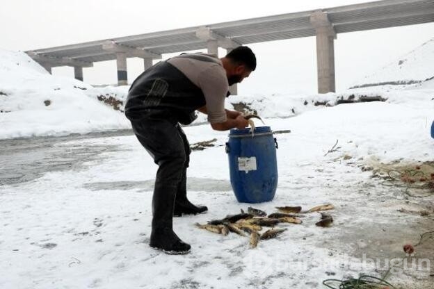 Donan derede Eskimo usulü balık avı