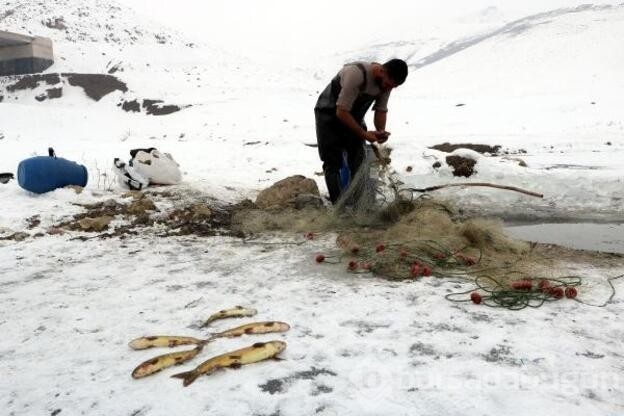 Donan derede Eskimo usulü balık avı