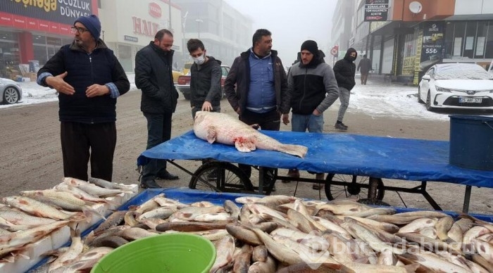 İki saat süren mücadeleyle sudan çıkardılar...