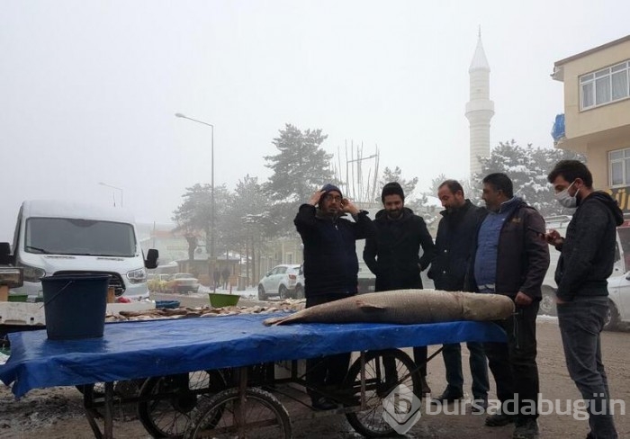 İki saat süren mücadeleyle sudan çıkardılar...