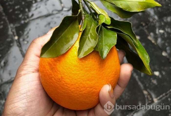 Yeterince C vitamini alamıyorsanız sebebi bunlar olabilir...