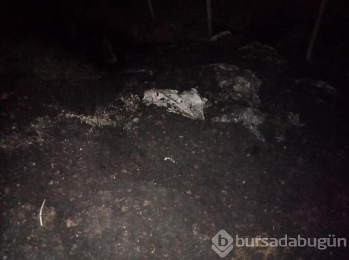 Dökülen atıklar mahalleliyi bezdirdi!