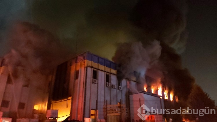 Bursa'da kimya fabrikasında yangın! Patlamalar yaşandı