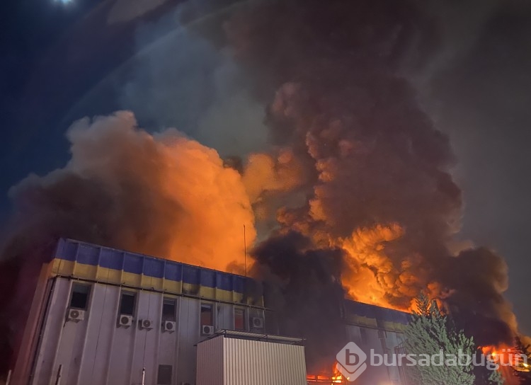 Bursa'da kimya fabrikasında yangın! Patlamalar yaşandı