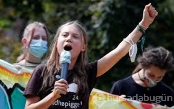 Yeni keşfedilen kurbağa türüne Greta Thunberg'in adı verildi
