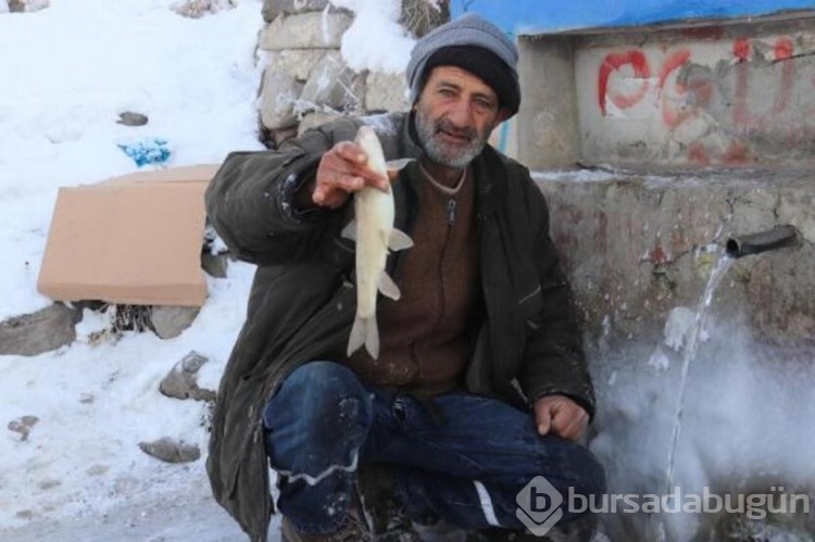 Eksi 30 derecede buzu kırıp balık avlıyor!