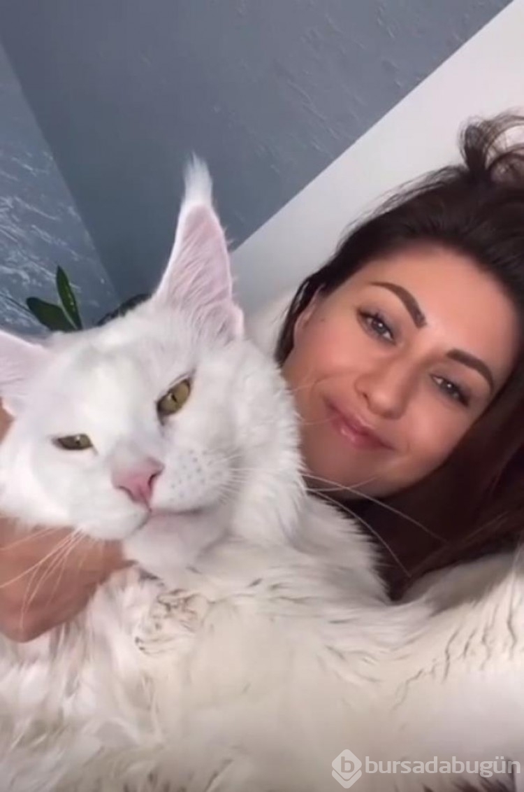Ağırlığı 12 kilogram, görenler köpek zannediyor