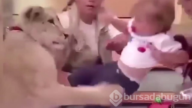 En komik canlı yayın kazaları...