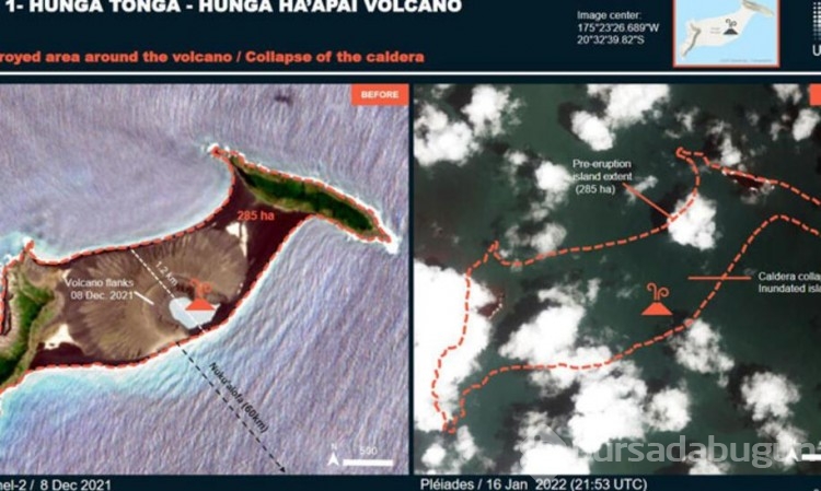 Kovid vakası olmayan Tonga'ya insani yardım teslimatı!
