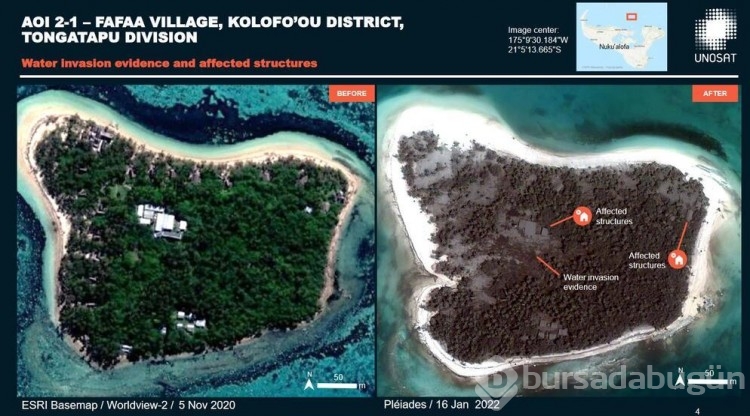 Kovid vakası olmayan Tonga'ya insani yardım teslimatı!

