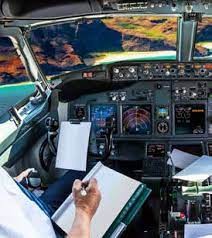 Pilot uçuşu yarıda bıraktı...
