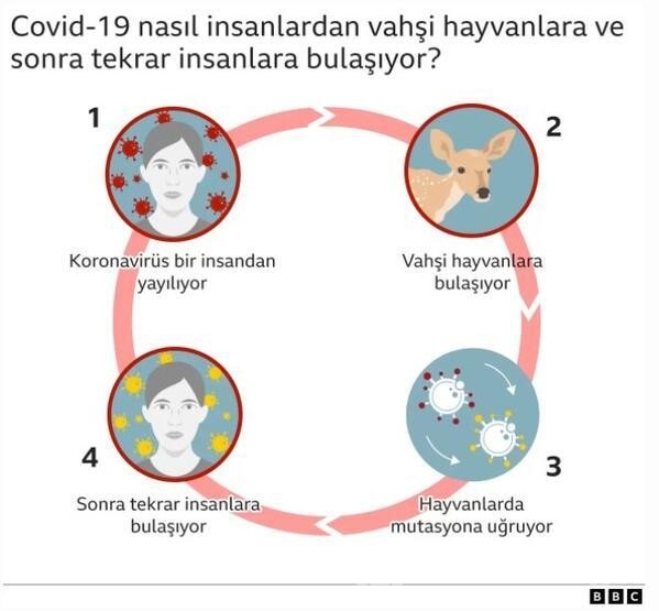 Yeni bir salgın yolda...