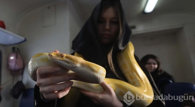 Hogwarts Express treni Saint Petersburg'dan kalktı
