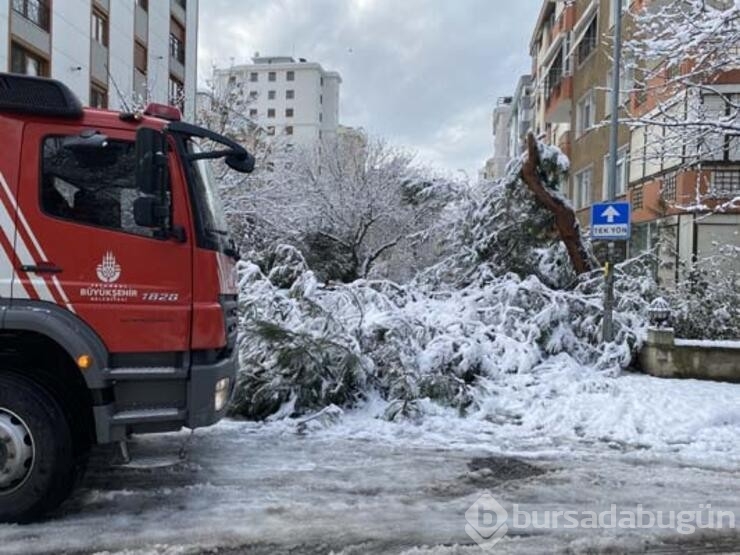 Kar yağışının sebebi polar vorteks mi?