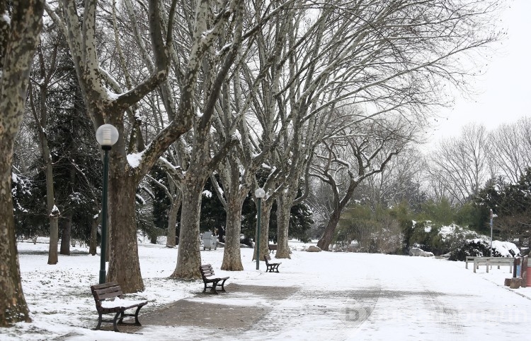 Bursa'da Botanik Park kar yağınca hayvanlara kaldı!