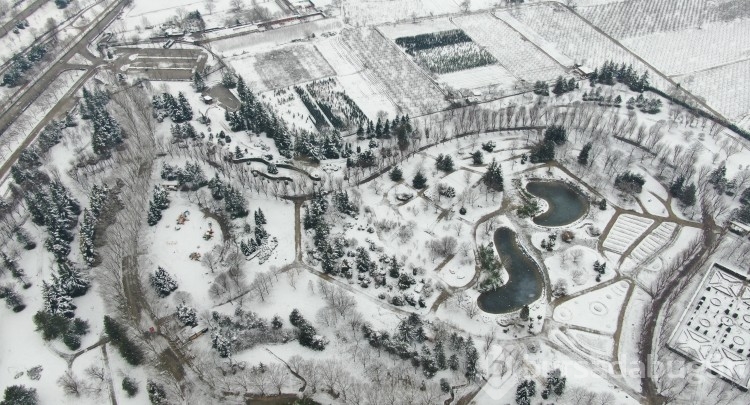 Bursa'da Botanik Park kar yağınca hayvanlara kaldı!