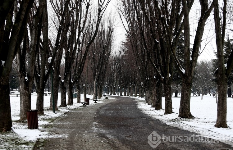 Bursa'da Botanik Park kar yağınca hayvanlara kaldı!