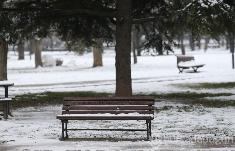 Bursa'da Botanik Park kar yağınca hayvanlara kaldı!