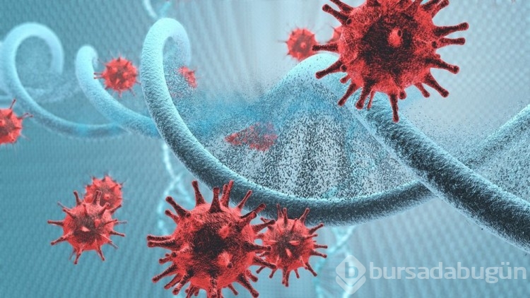 Covid-19 ile enfekte olan AIDS hastası 21 mutasyon geliştirdi