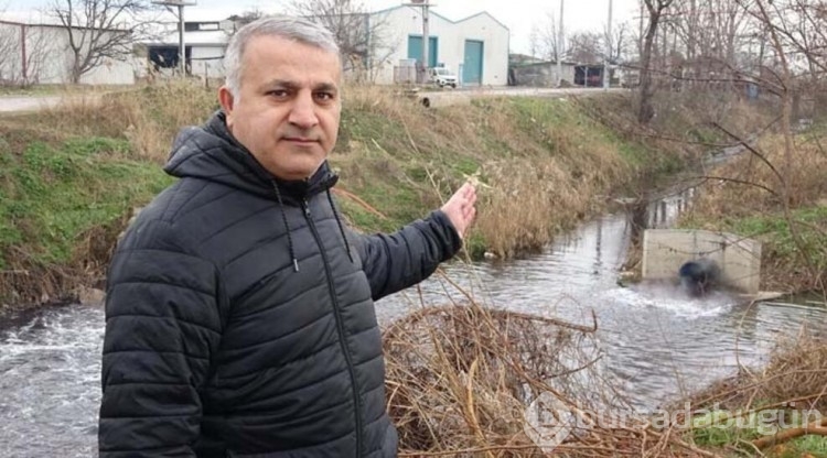 Dereler zehir akıyor!