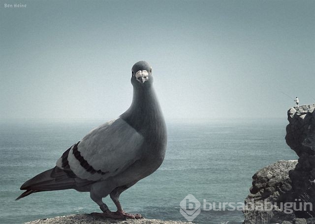 Göz yanıltan ilizyon fotoğrafları...