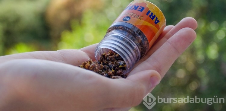 Arı ekmeği nedir? İşte vitamin deposu Arı Ekmeği ve özellikleri...
