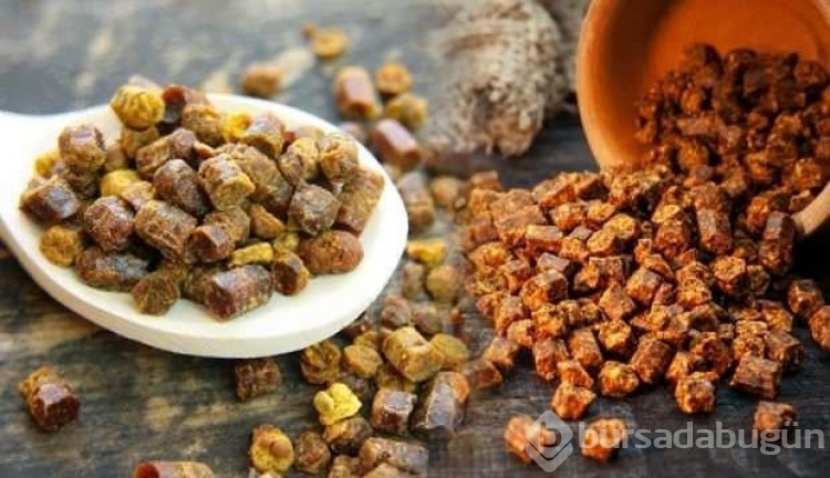 Arı ekmeği nedir? İşte vitamin deposu Arı Ekmeği ve özellikleri...