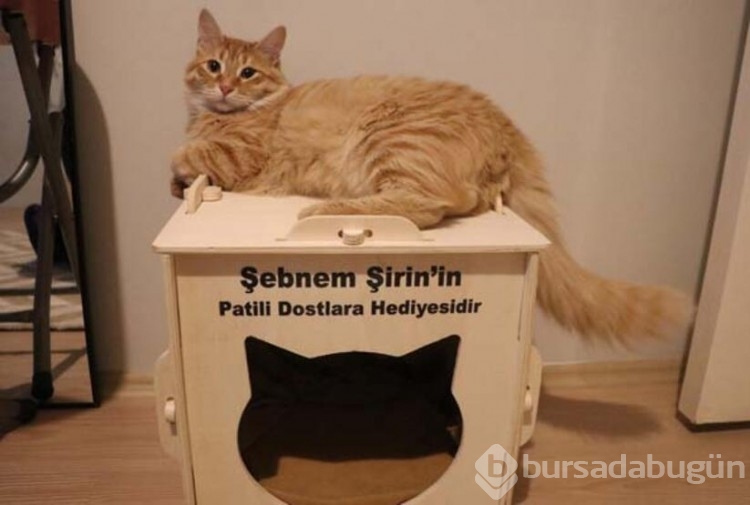 Yavruma uyurken kıymış!