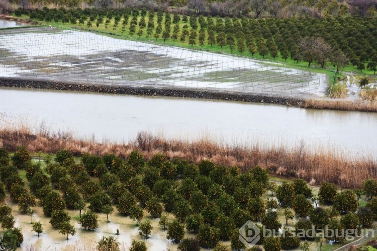 Muğla'da sağanak: Tarım alanlarını su bastı
