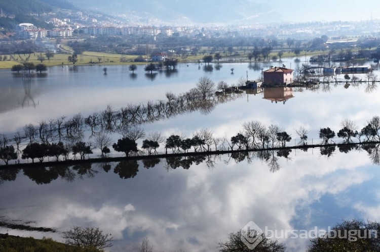 Muğla'da sağanak: Tarım alanlarını su bastı
