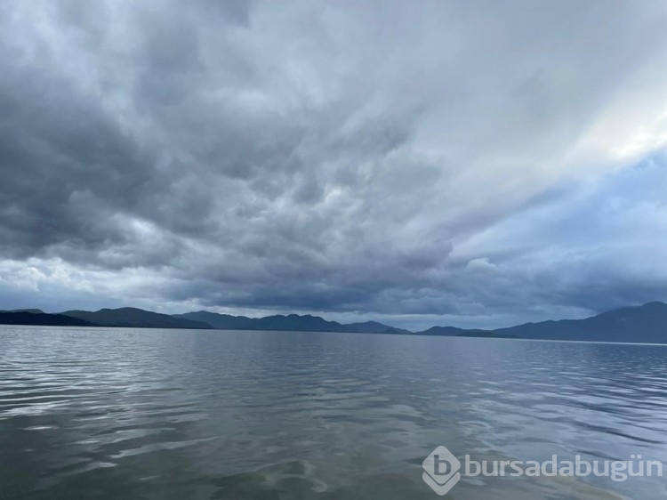 Muğla'da sağanak: Tarım alanlarını su bastı
