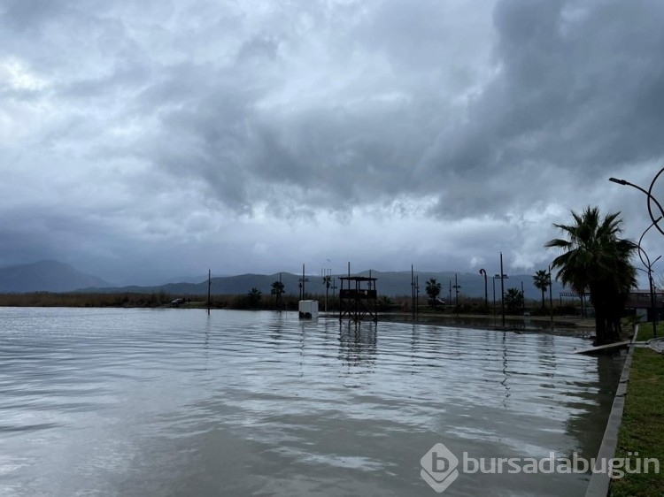 Muğla'da sağanak: Tarım alanlarını su bastı
