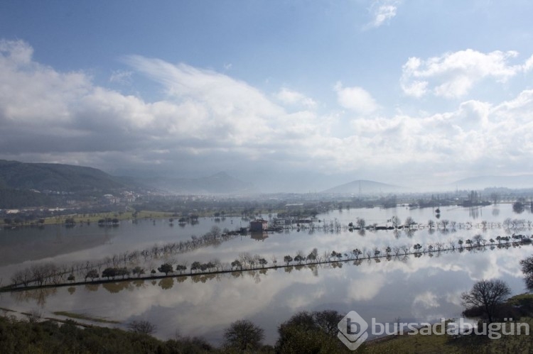 Muğla'da sağanak: Tarım alanlarını su bastı
