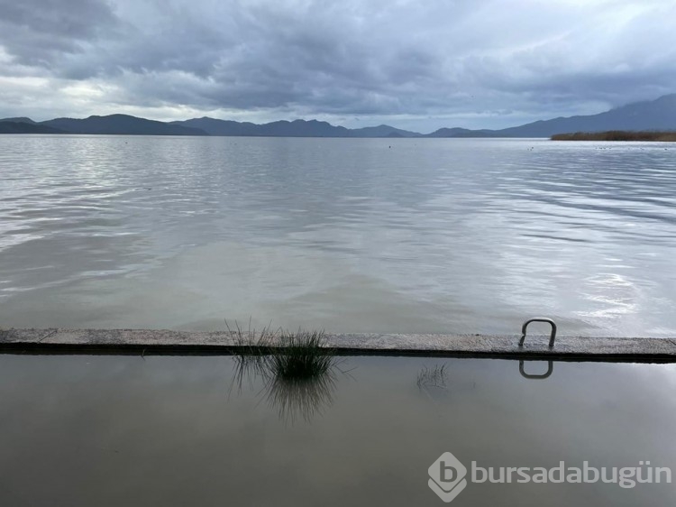 Muğla'da sağanak: Tarım alanlarını su bastı
