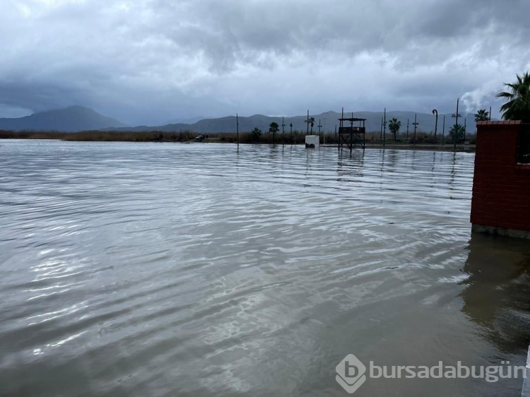 Muğla'da sağanak: Tarım alanlarını su bastı
