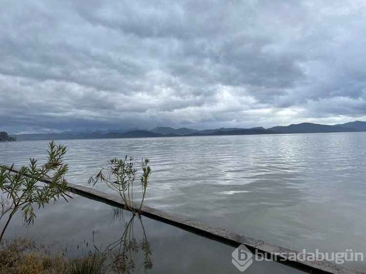 Muğla'da sağanak: Tarım alanlarını su bastı
