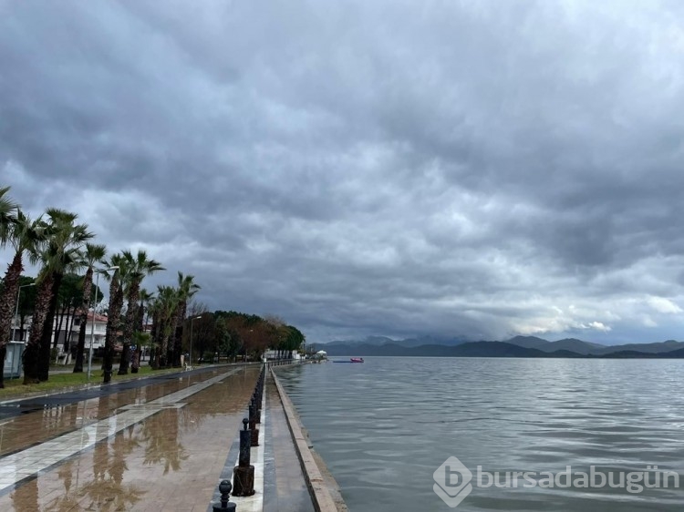 Muğla'da sağanak: Tarım alanlarını su bastı
