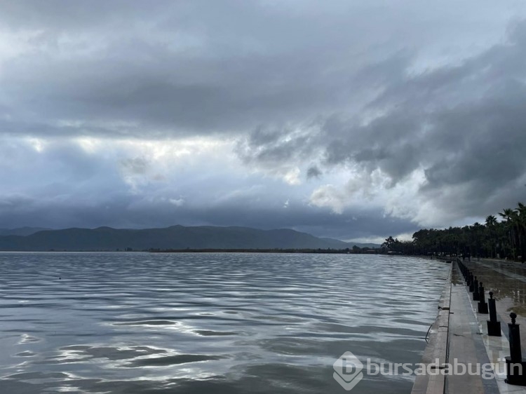 Muğla'da sağanak: Tarım alanlarını su bastı
