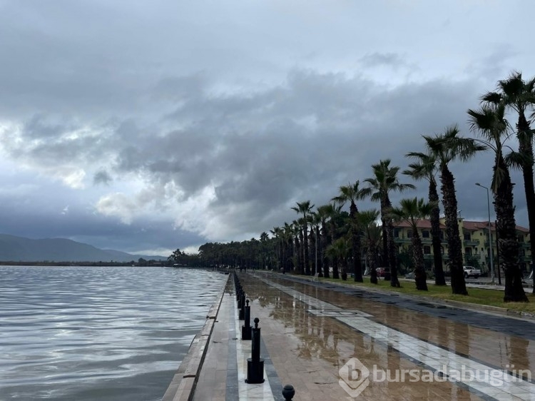 Muğla'da sağanak: Tarım alanlarını su bastı
